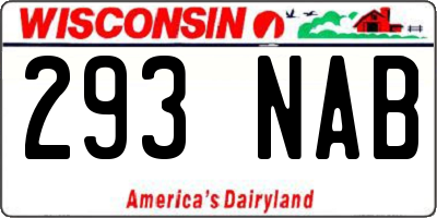 WI license plate 293NAB