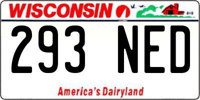 WI license plate 293NED