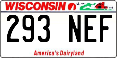 WI license plate 293NEF