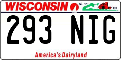 WI license plate 293NIG