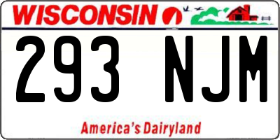 WI license plate 293NJM