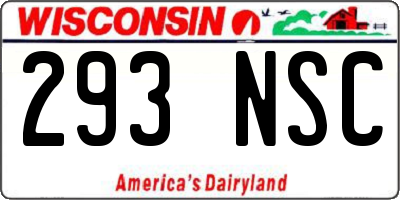 WI license plate 293NSC