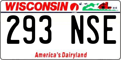 WI license plate 293NSE