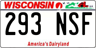 WI license plate 293NSF