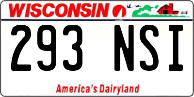 WI license plate 293NSI