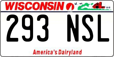 WI license plate 293NSL