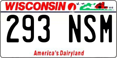 WI license plate 293NSM