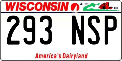 WI license plate 293NSP