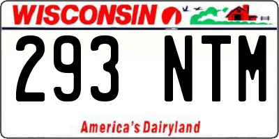 WI license plate 293NTM