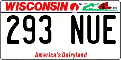 WI license plate 293NUE