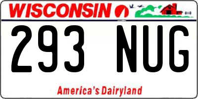 WI license plate 293NUG