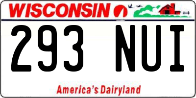 WI license plate 293NUI