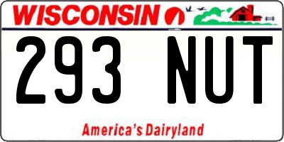 WI license plate 293NUT
