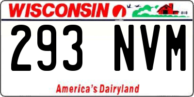 WI license plate 293NVM