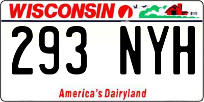 WI license plate 293NYH