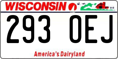 WI license plate 293OEJ
