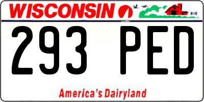 WI license plate 293PED