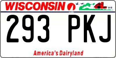 WI license plate 293PKJ