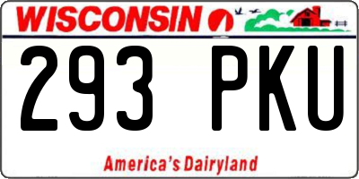 WI license plate 293PKU