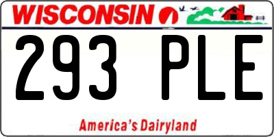 WI license plate 293PLE