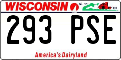 WI license plate 293PSE