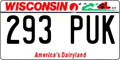 WI license plate 293PUK