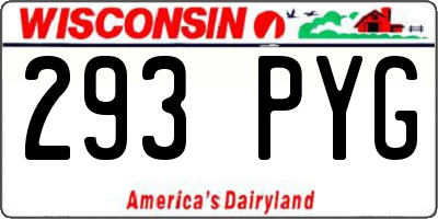 WI license plate 293PYG