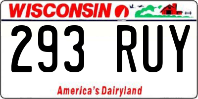WI license plate 293RUY