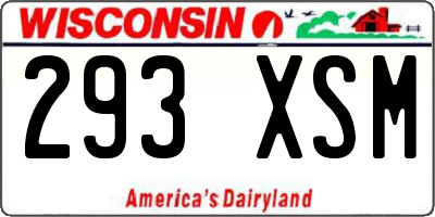 WI license plate 293XSM