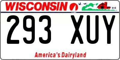 WI license plate 293XUY