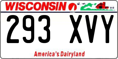WI license plate 293XVY