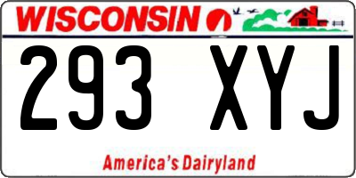 WI license plate 293XYJ