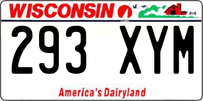 WI license plate 293XYM