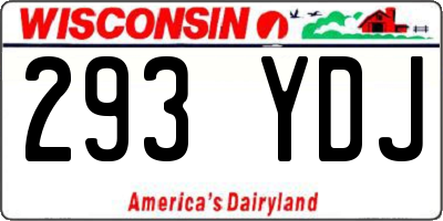 WI license plate 293YDJ