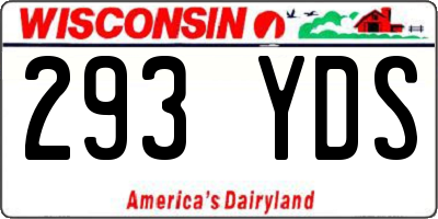 WI license plate 293YDS