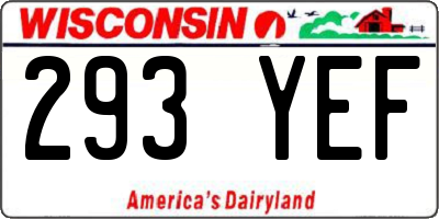 WI license plate 293YEF