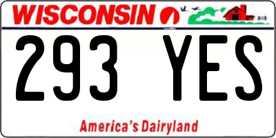 WI license plate 293YES