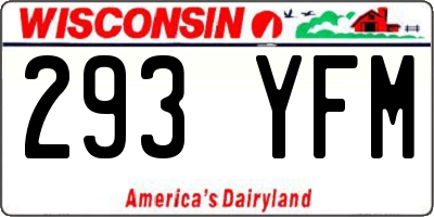 WI license plate 293YFM