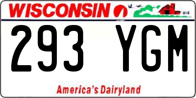 WI license plate 293YGM