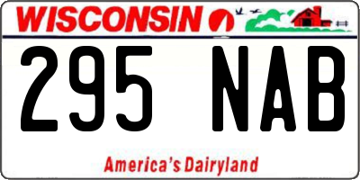 WI license plate 295NAB