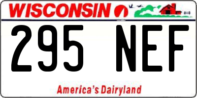 WI license plate 295NEF