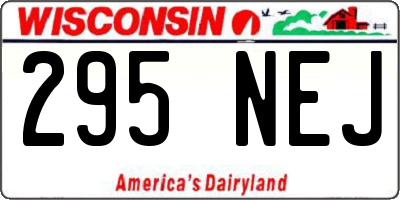 WI license plate 295NEJ