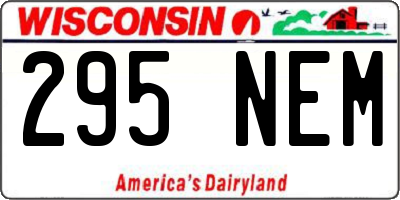 WI license plate 295NEM