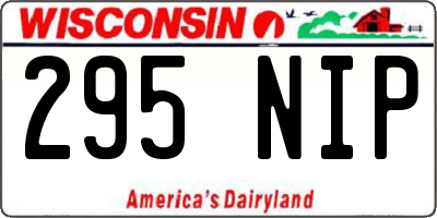 WI license plate 295NIP