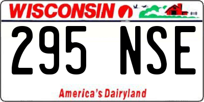 WI license plate 295NSE