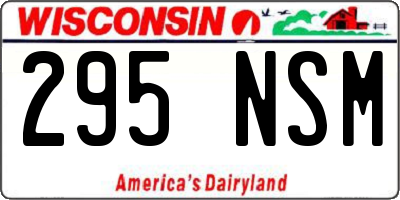 WI license plate 295NSM