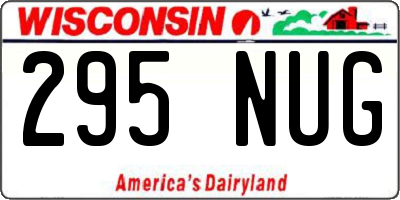 WI license plate 295NUG