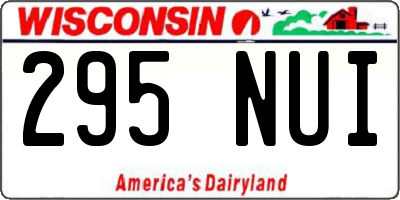 WI license plate 295NUI
