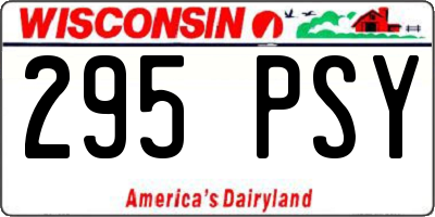 WI license plate 295PSY