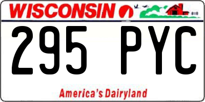 WI license plate 295PYC